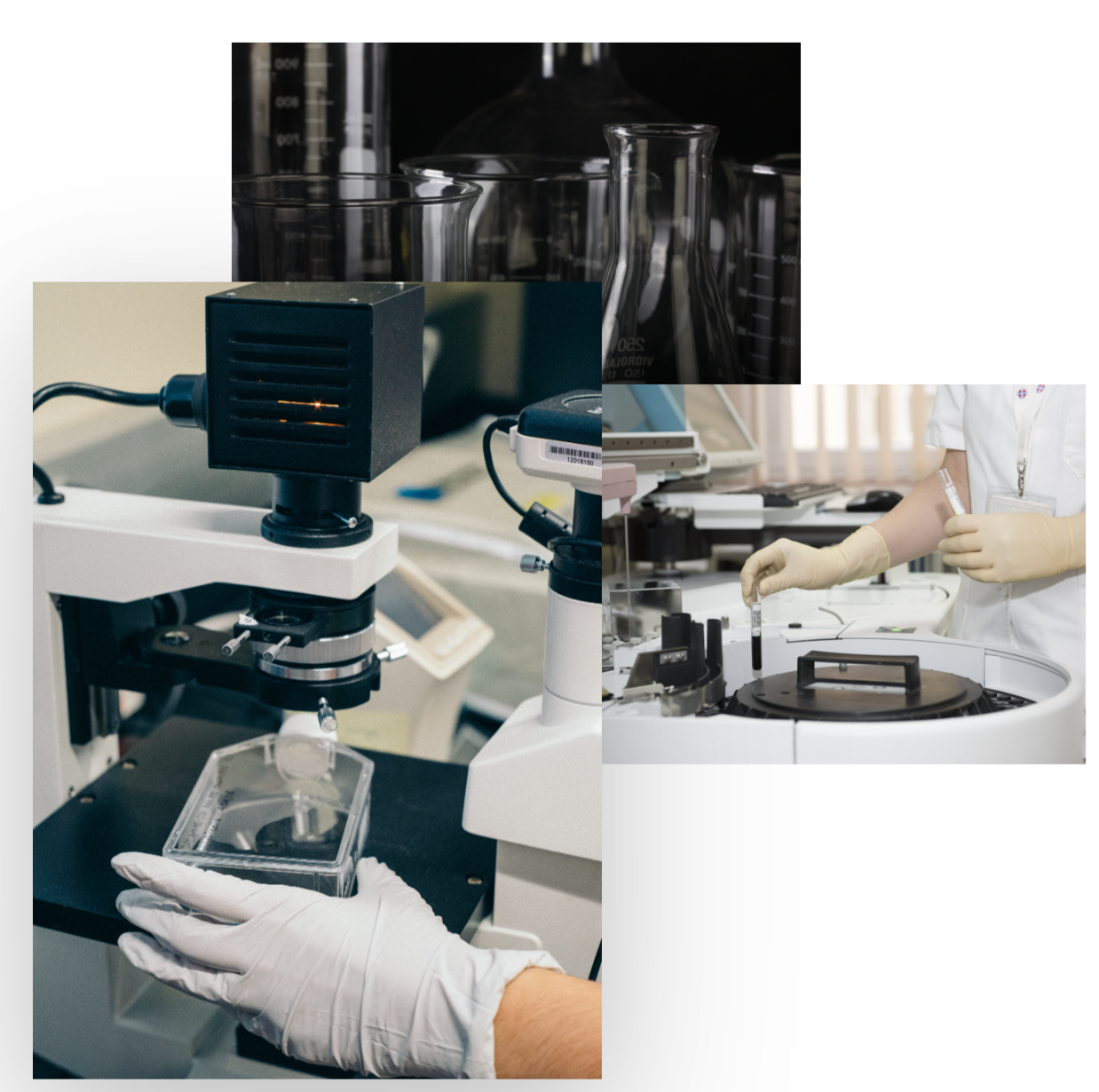 Screenshot - 2022-04-06T134510.245